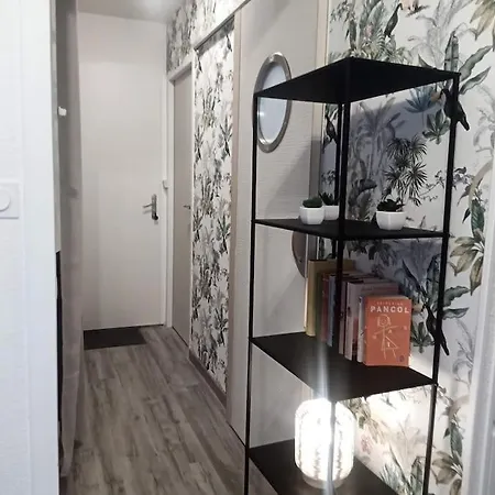 Joli T2 Tres Bien Situe, Parking Couvert 卢德