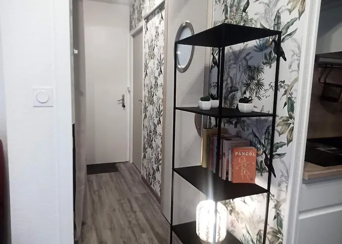 Joli T2 Tres Bien Situe, Parking Couvert Lourdes